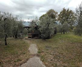 Terreno edificabile a Cesi