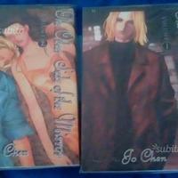 Manga The other side of the mirror voll 1-2