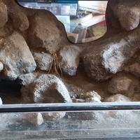 Terrario 80x40x40 con sfondo 3D handmade