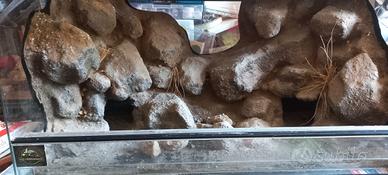 Terrario 80x40x40 con sfondo 3D handmade