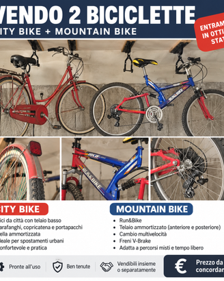 Coppia di biciclette – City Bike + Mountain Bike