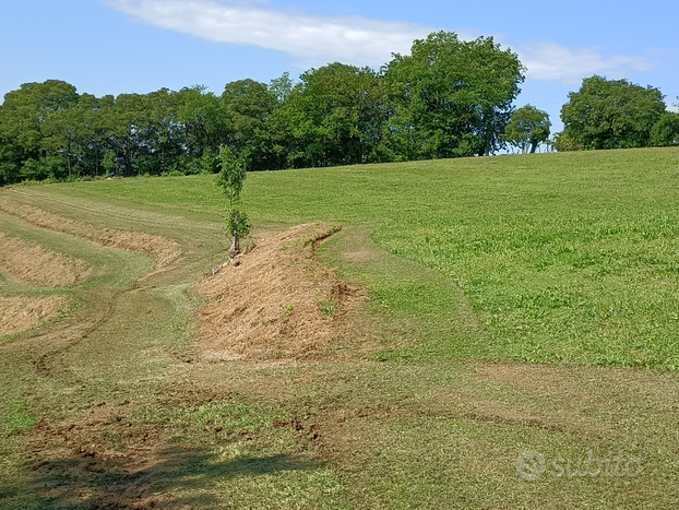 Terreno agricolo