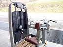 upper-back-technogym-selection-usato-doccasione