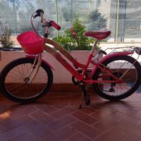 Bici bambina 20 pollici