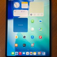 iPad Pro 4th Gen 12.9” Space Gray