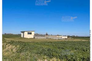Rustico/Casale/Corte Decimoputzu [A4353397]