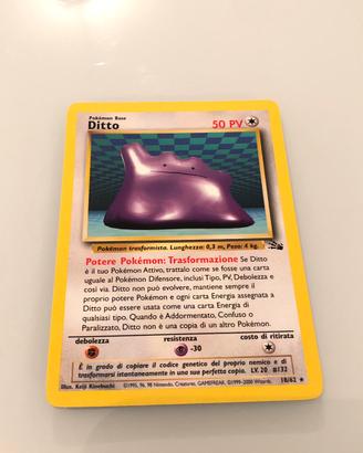 Ditto fossil ita