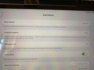 Ipad M2 13 cellular Applecare+