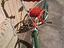 Immagine 2