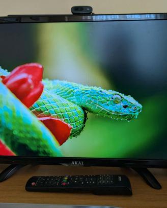 Televisore Akai AKTV2412TN 24"