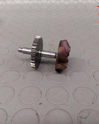 ALBERO POMPA ACQUA KWASAKI KX 250 92-04 592561065 