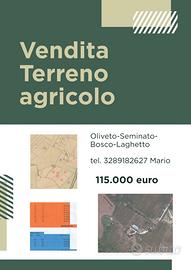 Terreno agricolo a San Costanzo (Pu)