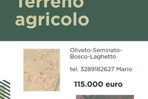 Terreno agricolo a San Costanzo (Pu)