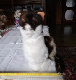 Splendidi peluche TRUDI gatti colori vari