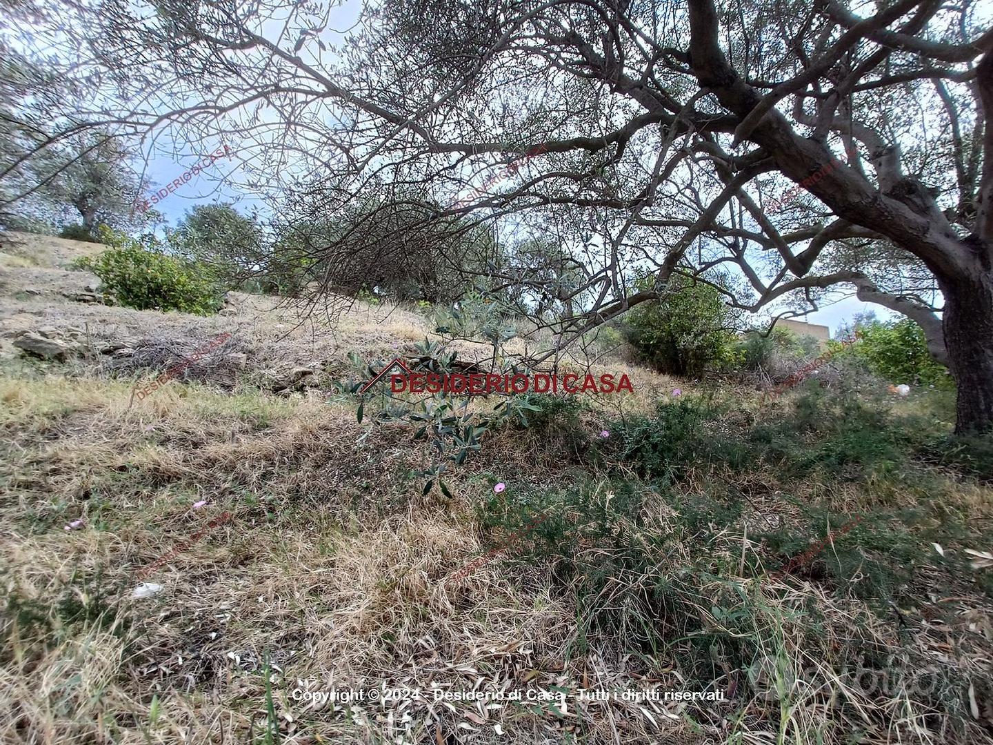 Terreno, Bagheria. - Vista 2