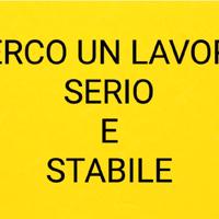 Lavoro serio e stabile
