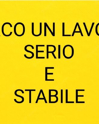 Lavoro serio e stabile