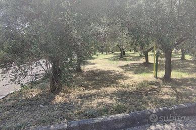 Terreno di 3401 m² a Treglio