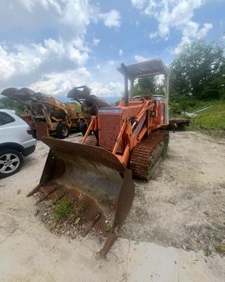 Pala cingolata fl5