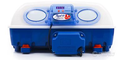 Incubatrice REAL 49 PLUS