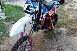 pit bike rfz apollo 