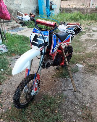pit bike rfz apollo 