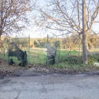 TER. AGRICOLO A PALOMBARA SABINA