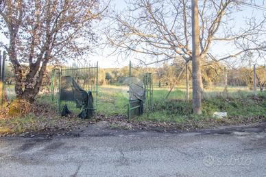TER. AGRICOLO A PALOMBARA SABINA