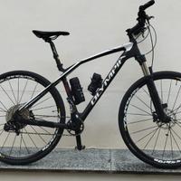 Mtb carbonio