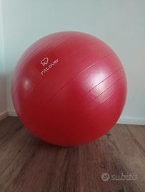 fitball e soft ball palla pilates allenamento 