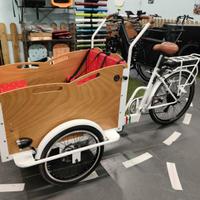Cargo bike Panda bike classic elettrica usata