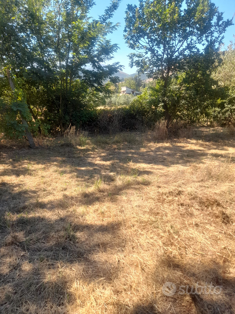 Terreno agricolo Pontelatone - Vista 2