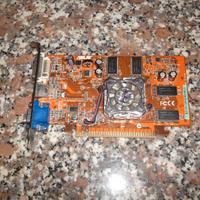 Scheda video asus usata