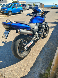 Honda Hornet
