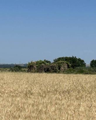 Terreno di 20040 m² a Tuscania