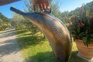 pancia hgs per moto