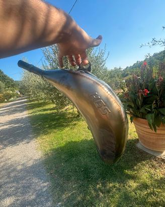 pancia hgs per moto