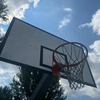 Set campi professionali da bascket