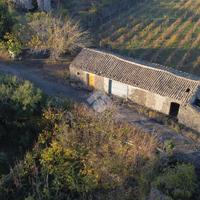 TER. AGRICOLO A PIEDIMONTE ETNEO