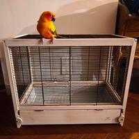 Gabbia Ferplast criceti e pappagallini 