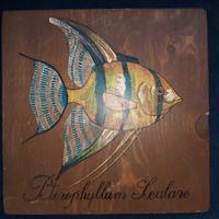 Quadro su legno pesce scalare pterophyllum scalare