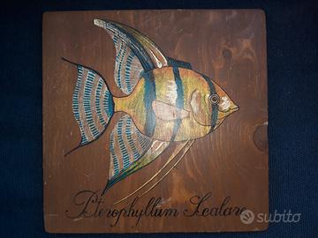 Quadro su legno pesce scalare pterophyllum scalare