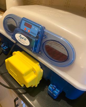 Incubatrice