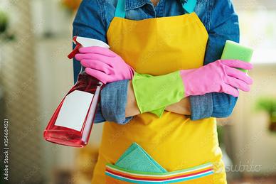 Addetta alle pulizie / Aiuto domestico / Cameriera