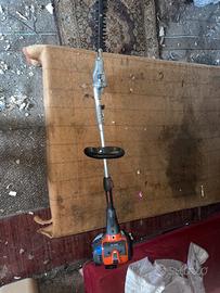 tagliasiepi professionale