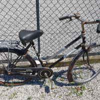 Bicicletta da donna vintage