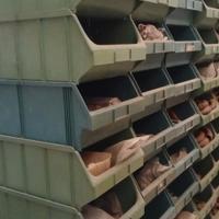 Contenitori a bocca di lupo 