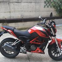 Benelli Bn 251
