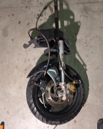 forcelle nrg mc3