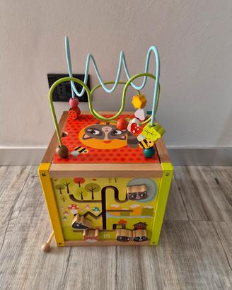 cubo multiattivitá